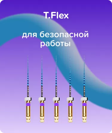 T.Flex N10 .04 L31 машинные