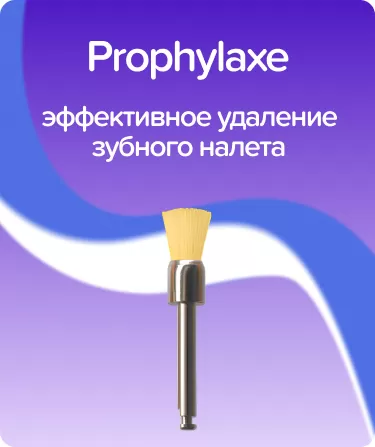 Prophylaxe P1475
