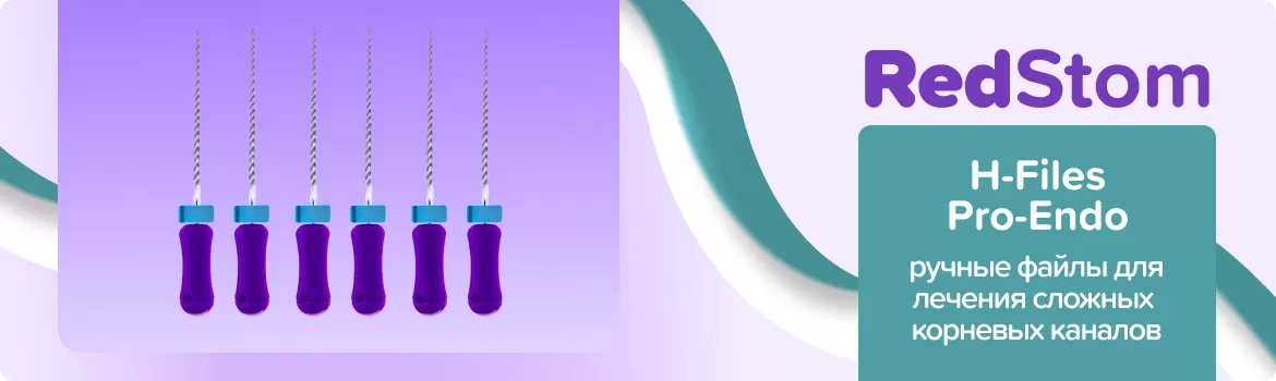 H-Files Pro-Endo N10 L21 ручные