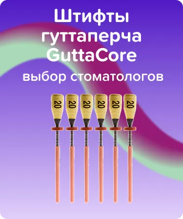 Обтураторы GuttaCore N20