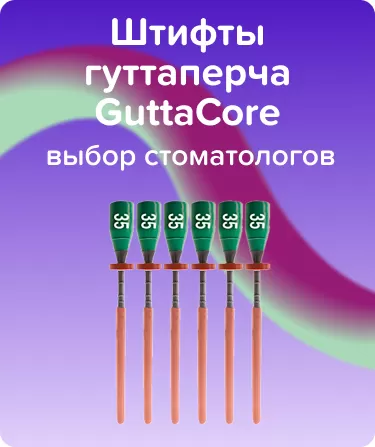 Обтураторы GuttaCore N35