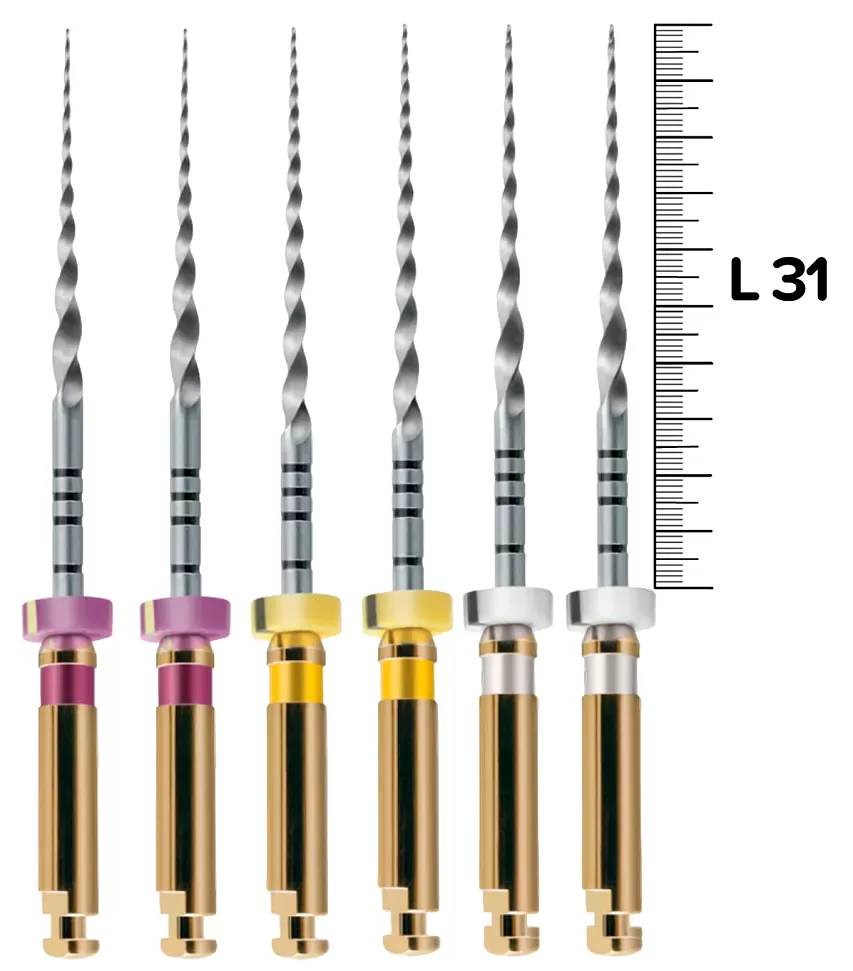 ProTaper Universal (S1,S2,F1/31мм) машинные (6 шт.)