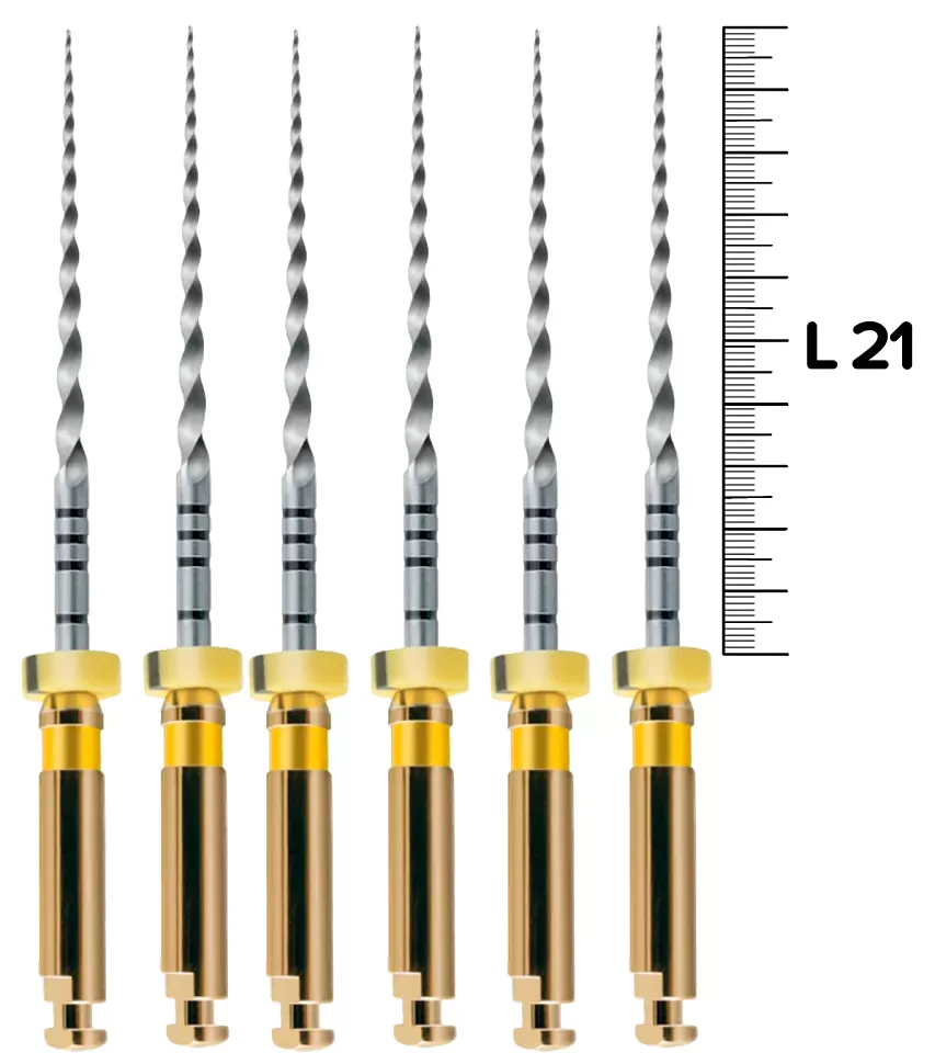 ProTaper Universal (F1/21мм) машинные (6 шт.)