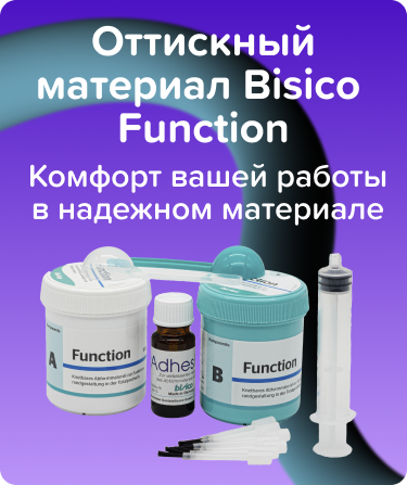 Bisico Function базовый слой