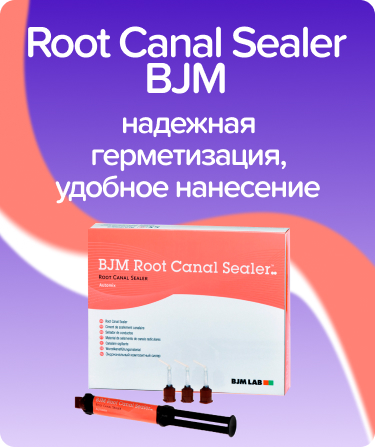 Root Canal Sealer BJM