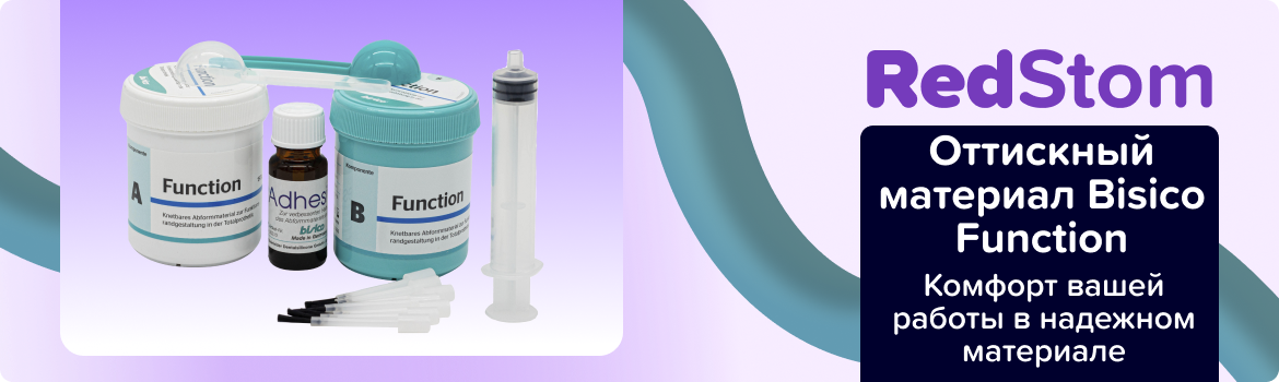 Bisico Function базовый слой