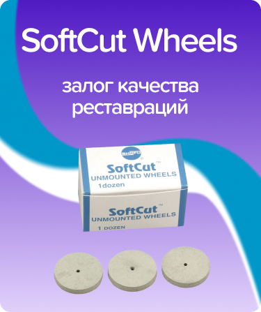 SoftCut Unmounted Wheels PB диск